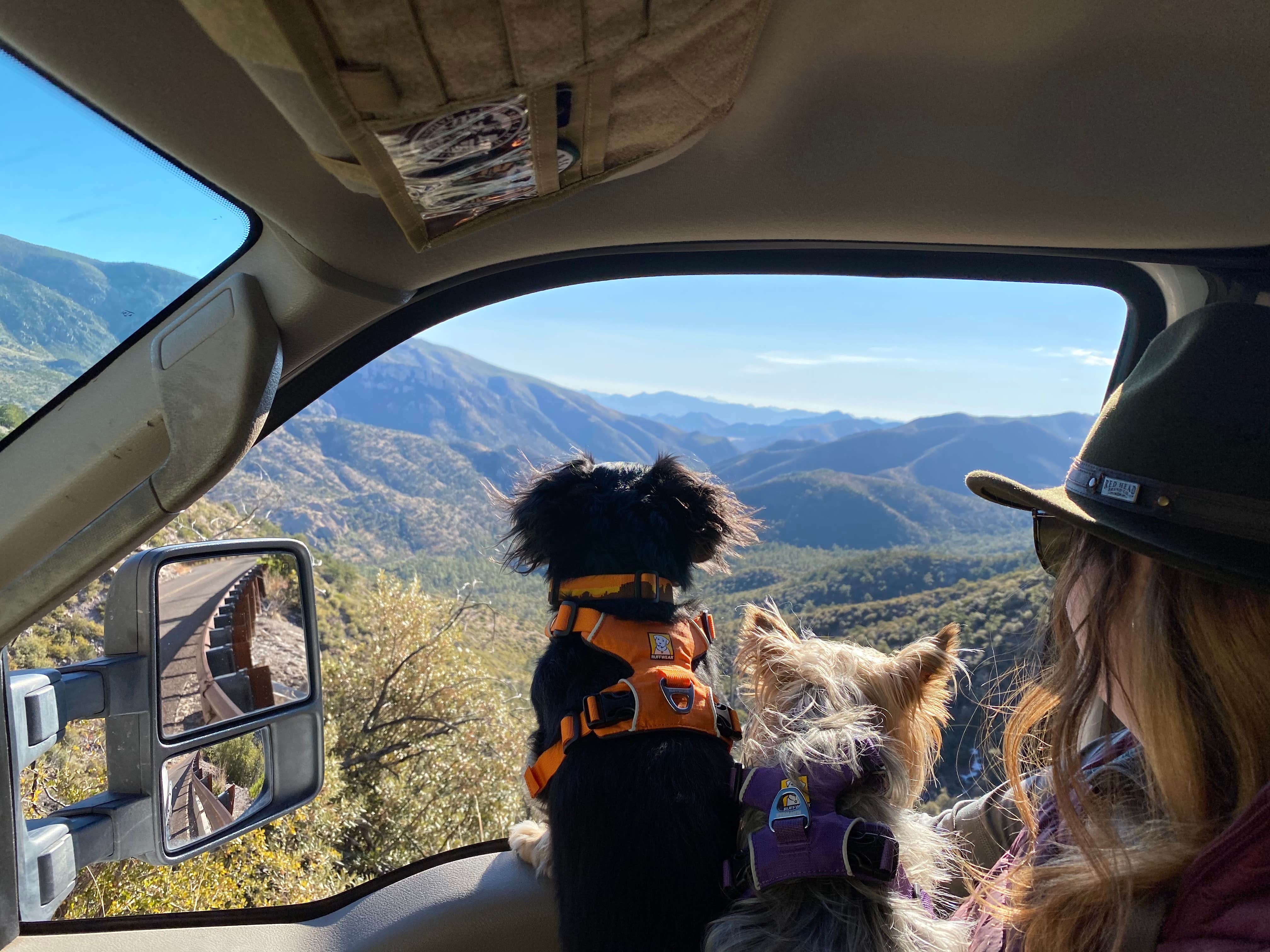Beth G.'s photo of camping with pets at Bonita Canyon Campground — Chiricahua National Monument near Elfrida, AZ