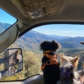 Review photo of Bonita Canyon Campground — Chiricahua National Monument by Beth G., February 17, 2020