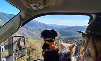 Beth G.'s photo of camping with pets at Bonita Canyon Campground — Chiricahua National Monument near Pearce, AZ
