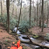 Review photo of Vogel State Park Campground by Angela M., February 11, 2020
