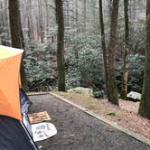 Review photo of Vogel State Park Campground by Angela M., February 11, 2020