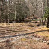 Review photo of Vogel State Park Campground by Angela M., February 11, 2020