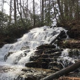Review photo of Vogel State Park Campground by Angela M., February 11, 2020