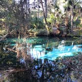 Review photo of Juniper Springs Rec Area - Tropical Camp Area by Angela M., February 11, 2020
