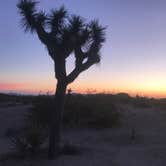Review photo of Jumbo Rocks Campground — Joshua Tree National Park by Lena L., February 17, 2020