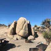 Review photo of Jumbo Rocks Campground — Joshua Tree National Park by Lena L., February 17, 2020