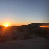 Review photo of Jumbo Rocks Campground — Joshua Tree National Park by Lena L., February 17, 2020