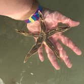 Review photo of Fort De Soto Campground by Angela M., February 17, 2020