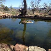 Review photo of Toroweap Road BLM by Hayley K., February 17, 2020