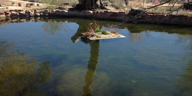 Camper submitted image from Toroweap Road BLM