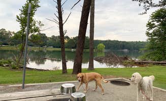 Mike K.'s photo of camping with pets at Bald Ridge Creek near Lilburn, GA