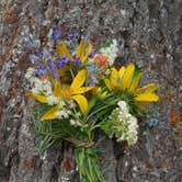 Review photo of Klipchuck Campground by Jill T., June 30, 2016