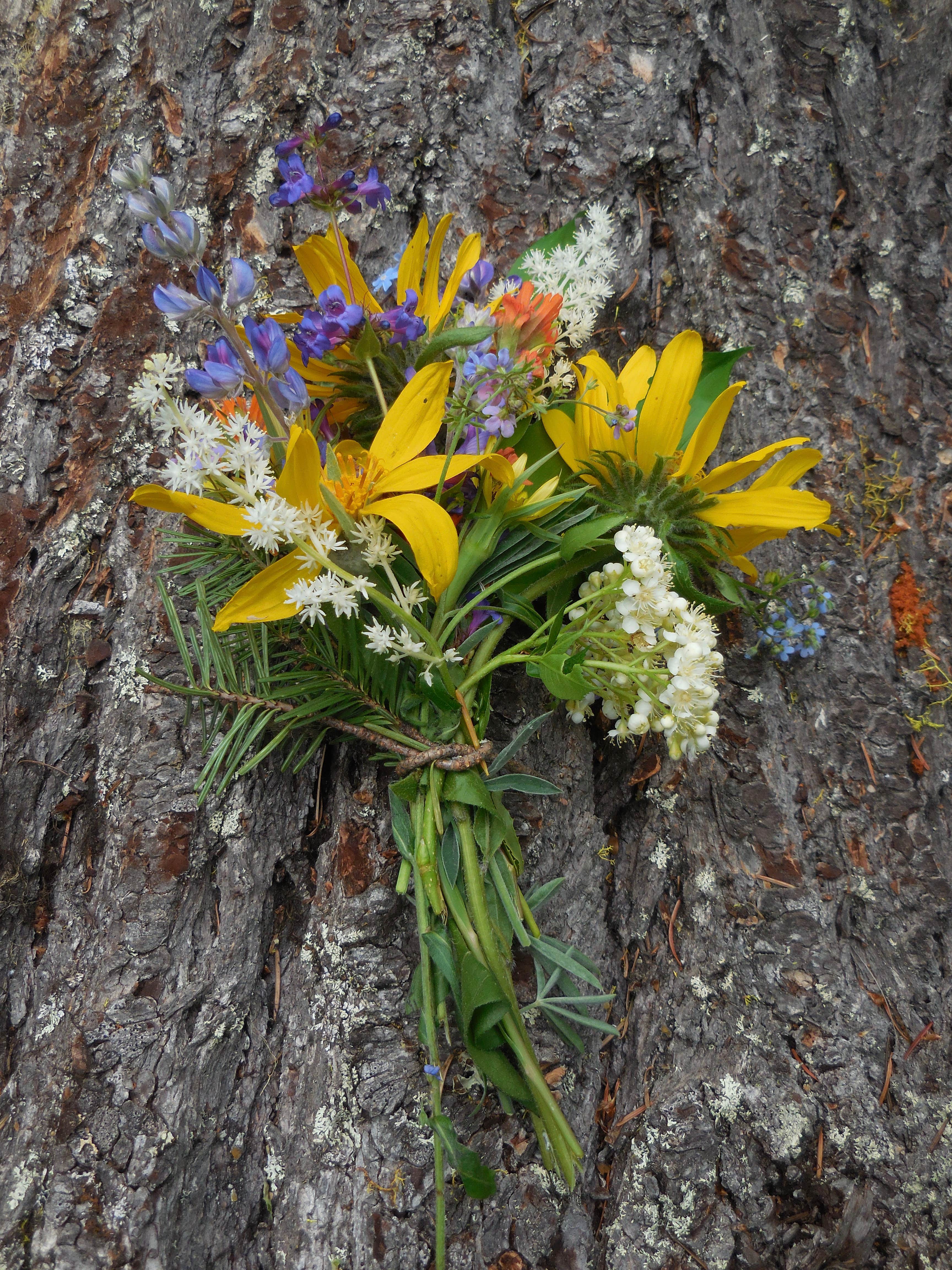 Camper submitted image from Klipchuck Campground - 2