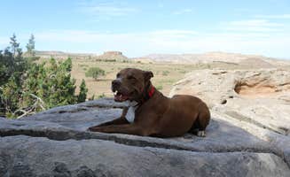 Alyssa B.'s photo of camping with pets at Rabbit Valley — Mc Innis Canyons National Conservation Area near Fruita, CO