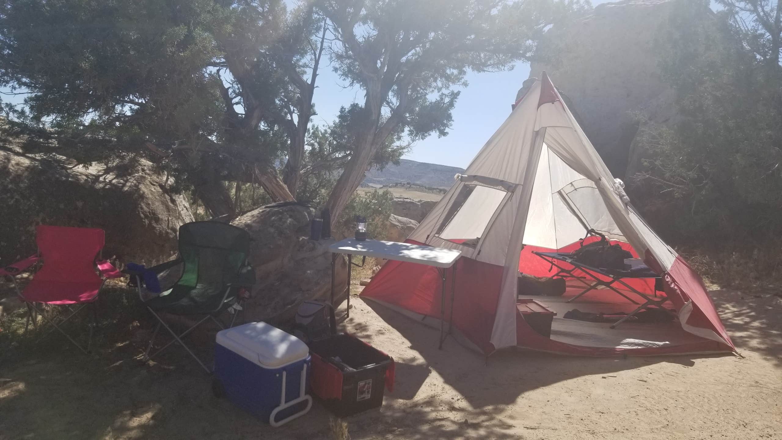Alyssa B.'s photo at Rabbit Valley — Mc Innis Canyons National Conservation Area near Loma, CO