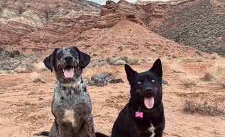 Isabella M.'s photo of camping with pets at Zion River Resort near Zion National Park
