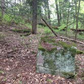 Review photo of Battle Run by Dave V., September 1, 2017