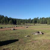 Review photo of Hawley Lake Apache Indian Res by Hayley K., February 17, 2020