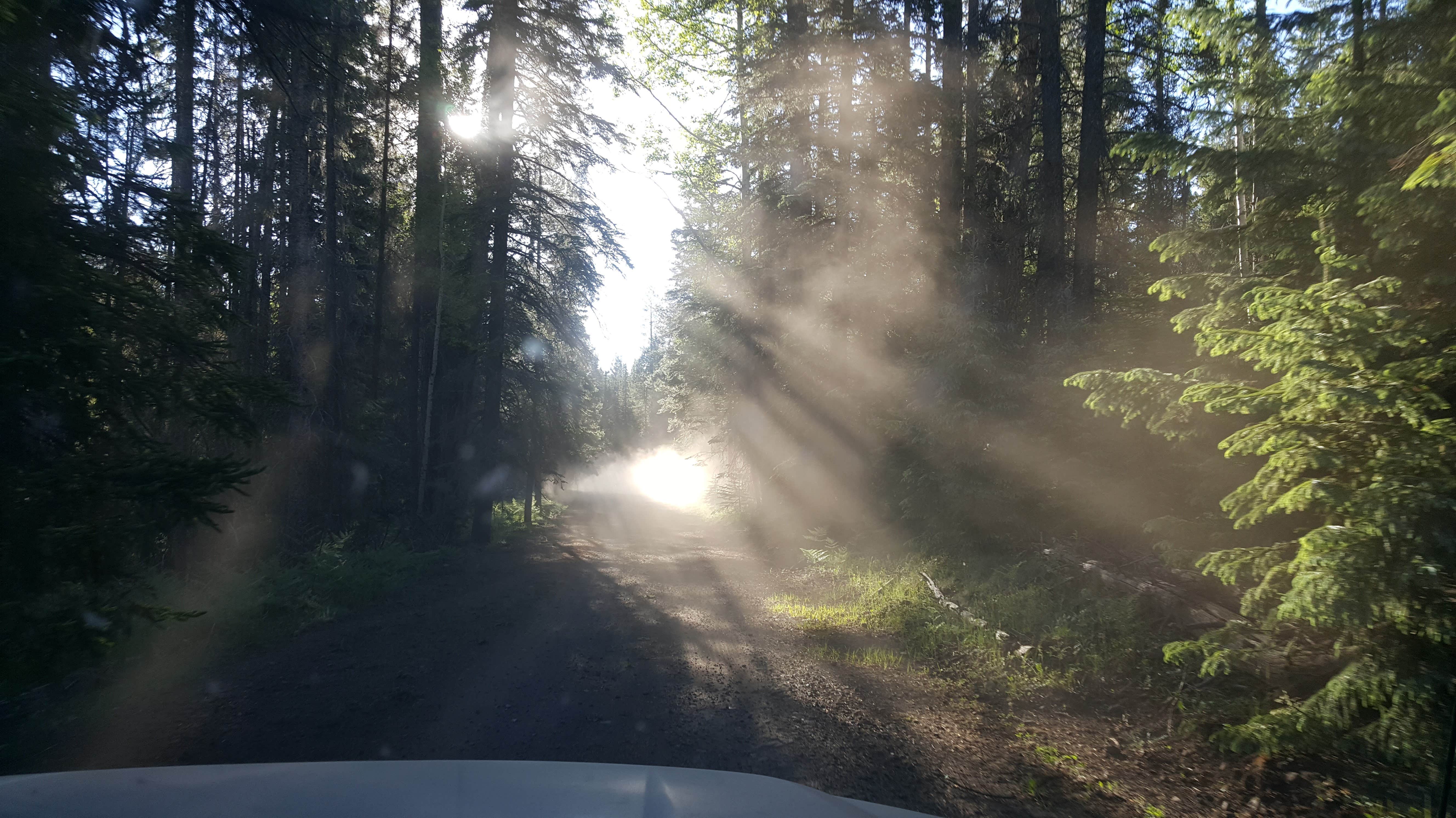 Camper-submitted photo at Hawley Lake Apache Indian Res near Lakeside, AZ
