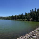 Review photo of Hawley Lake Apache Indian Res by Hayley K., February 17, 2020