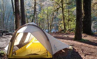 Mandy E.'s photo at Island Campground near Agness, OR