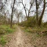 Review photo of Lake Corpus Christi State Park Campground by Loni P., February 18, 2020
