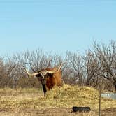 Review photo of Red Arroyo — San Angelo State Park by Loni P., February 18, 2020