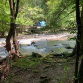 Review photo of Elkmont Campground — Great Smoky Mountains National Park by David , February 18, 2020