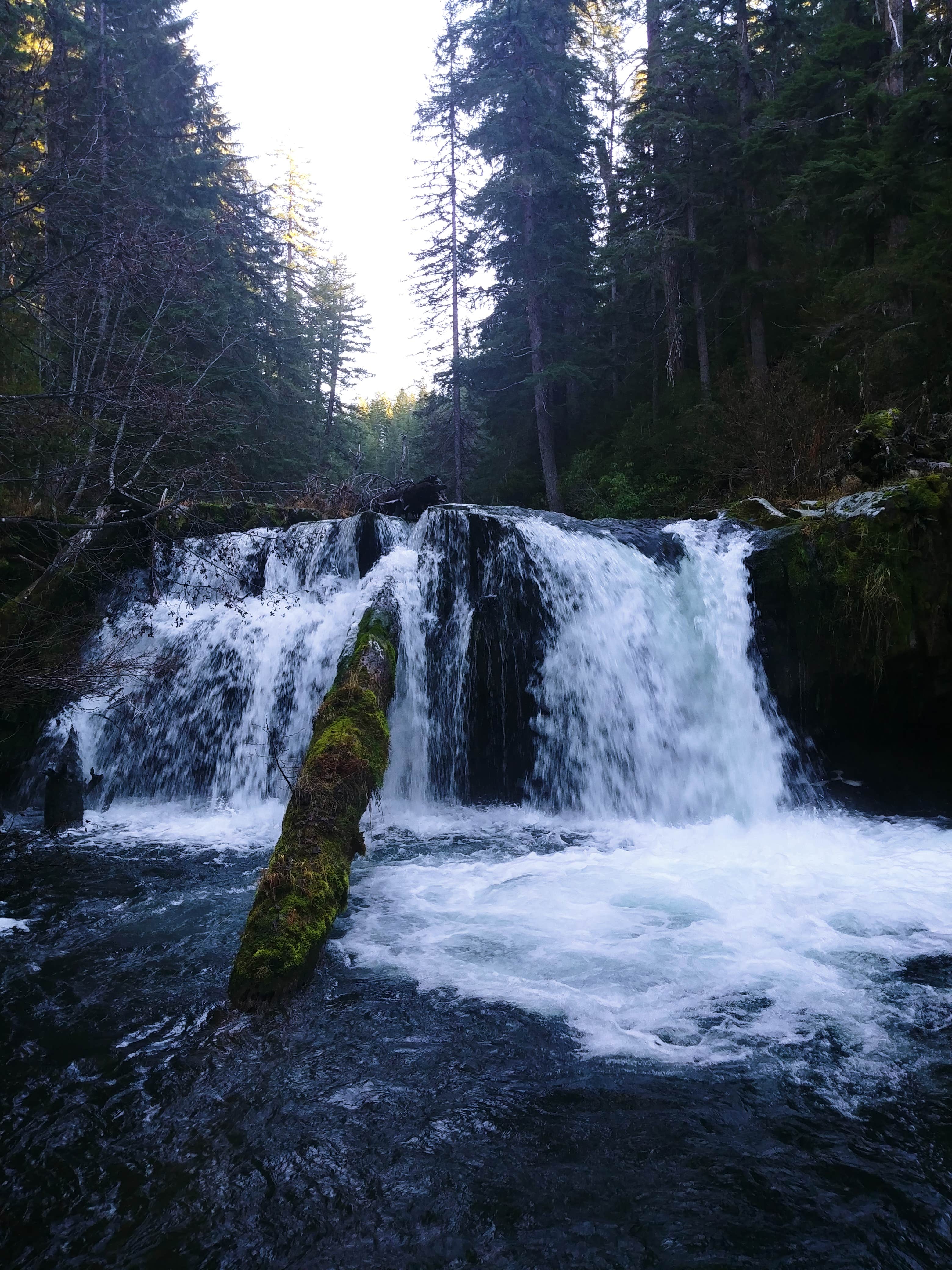 Nature