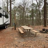 Review photo of Red Top Mountain State Park Campground by Alanna W., February 18, 2020