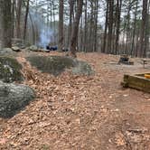 Review photo of Red Top Mountain State Park Campground by Alanna W., February 18, 2020