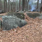 Review photo of Red Top Mountain State Park Campground by Alanna W., February 18, 2020
