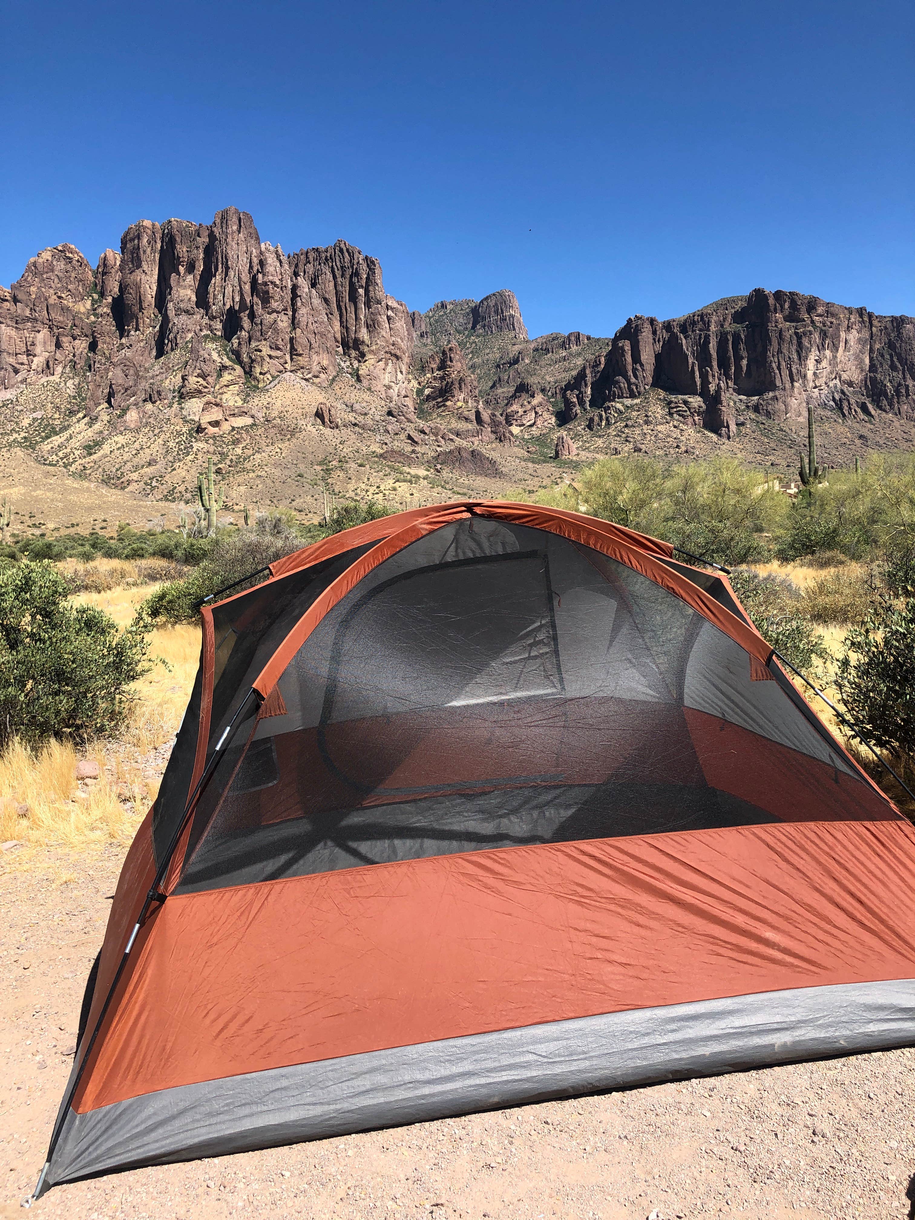Adrian C.'s photo at Lost Dutchman State Park Campground near Queen Creek, AZ