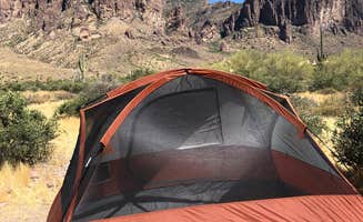 Adrian C.'s photo at Lost Dutchman State Park Campground near Queen Creek, AZ