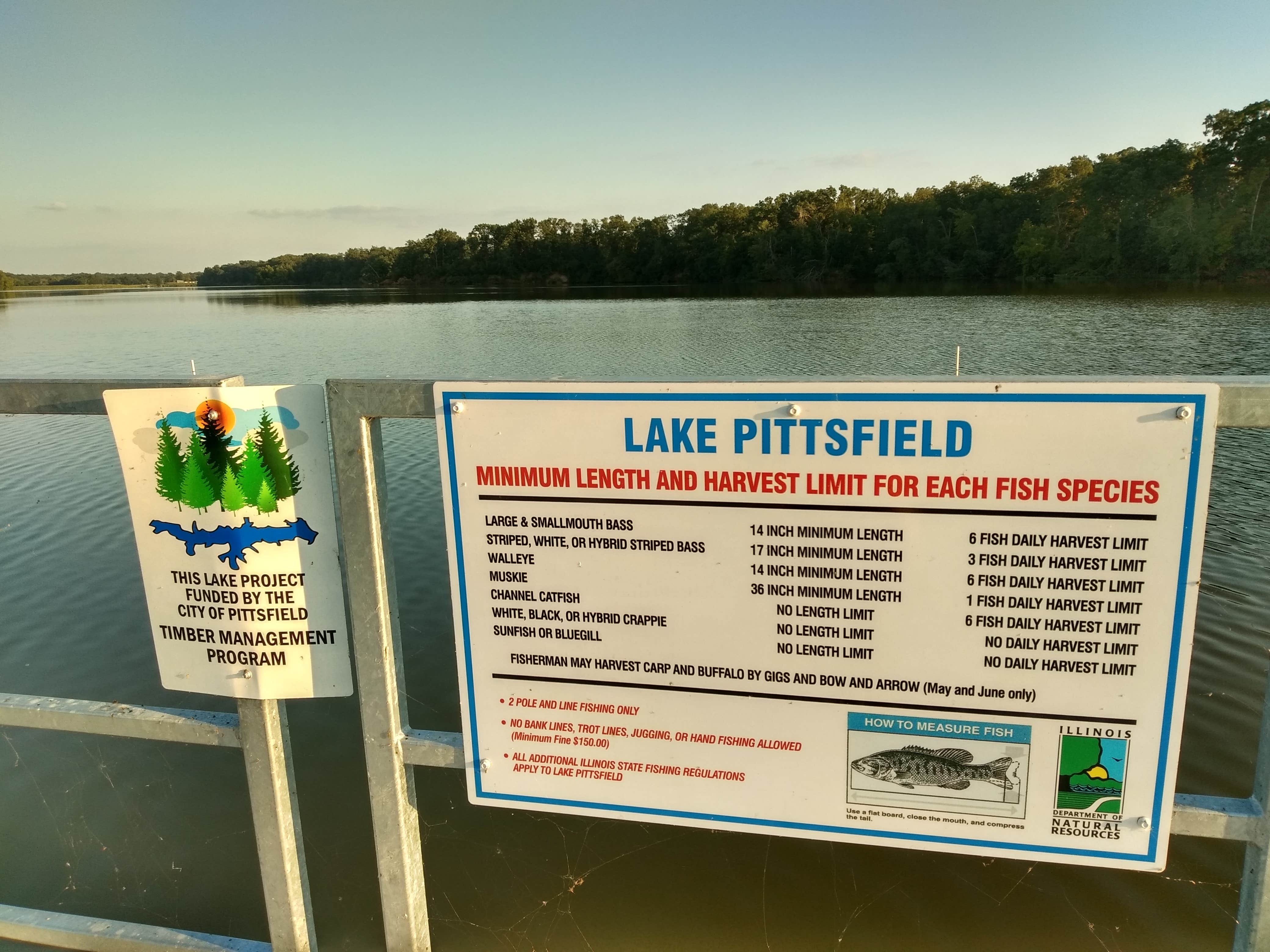 Camper submitted image from Pittsfield City Lake - 5
