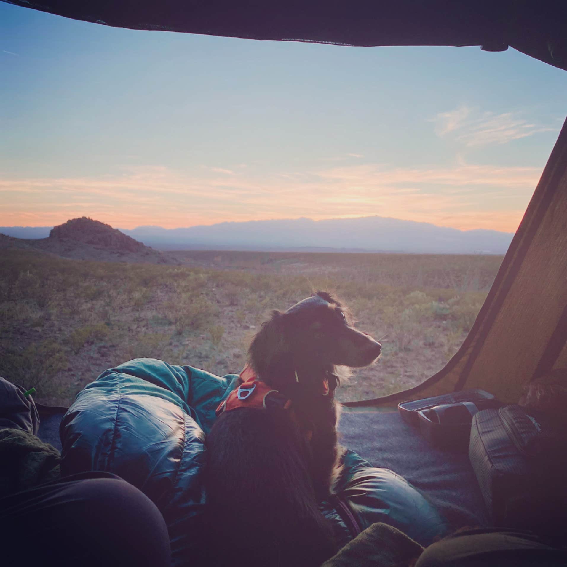 Beth G.'s photo at Black Hills Rockhound near Safford, AZ