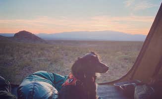 Beth G.'s photo at Black Hills Rockhound near Thatcher, AZ