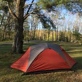 Review photo of Babcock State Park Campground by Dave V., September 1, 2017