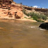 Review photo of Virgin River Gorge (BLM) by Hayley K., February 18, 2020