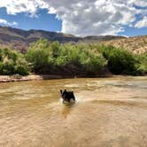 Review photo of Virgin River Gorge (BLM) by Hayley K., February 18, 2020