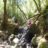 Review photo of Samuel P. Taylor State Park Campground by Hayley K., February 18, 2020