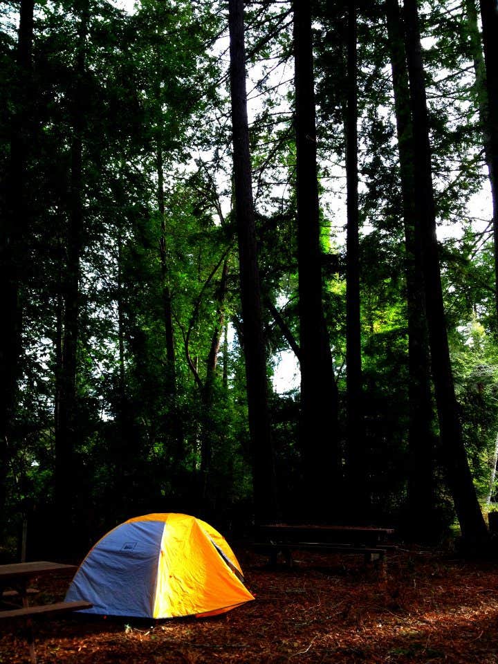 Hayley K.'s photo at Samuel P. Taylor State Park Campground near Tiburon, CA