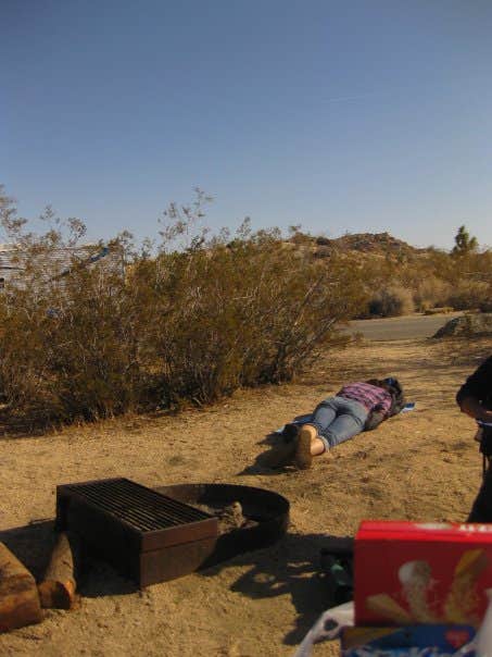 Camper submitted image from Sheep Pass Group Campground — Joshua Tree National Park - 5