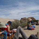 Review photo of Sheep Pass Campground — Joshua Tree National Park by Hayley K., February 18, 2020