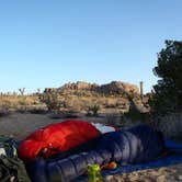 Review photo of Sheep Pass Campground — Joshua Tree National Park by Hayley K., February 18, 2020