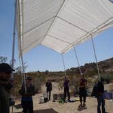 Review photo of Sheep Pass Group Campground — Joshua Tree National Park by Hayley K., February 18, 2020