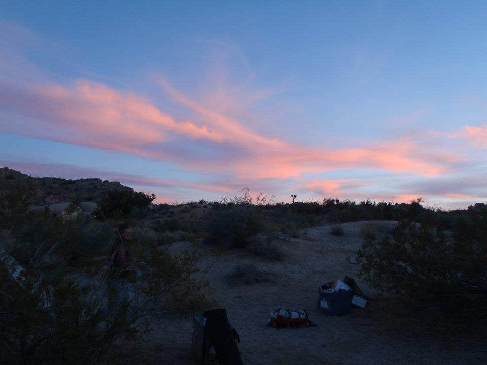 Hayley K.'s photo at Sheep Pass Group Campground — Joshua Tree National Park near Indio, CA