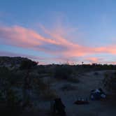 Review photo of Sheep Pass Group Campground — Joshua Tree National Park by Hayley K., February 18, 2020