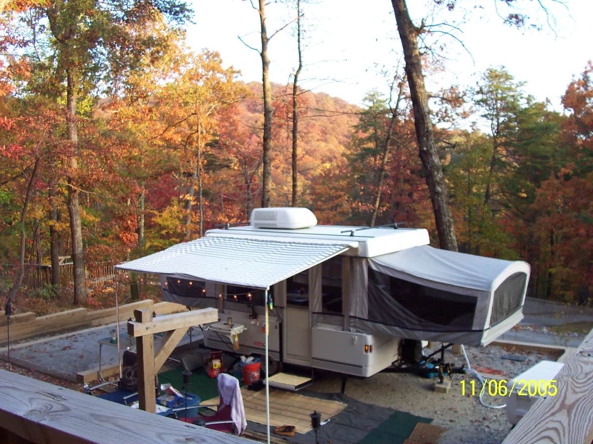 Suzie F.'s photo at Amicalola Falls State Park Camping in Georgia