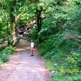 Review photo of Amicalola Falls State Park Camping by Suzie F., May 6, 2019